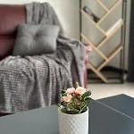 Charmante Datcha En Normandie Casa vacanze