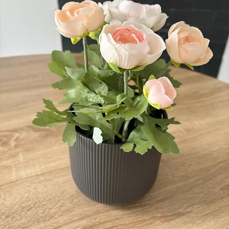 Feriehus Charmante Datcha En Normandie *