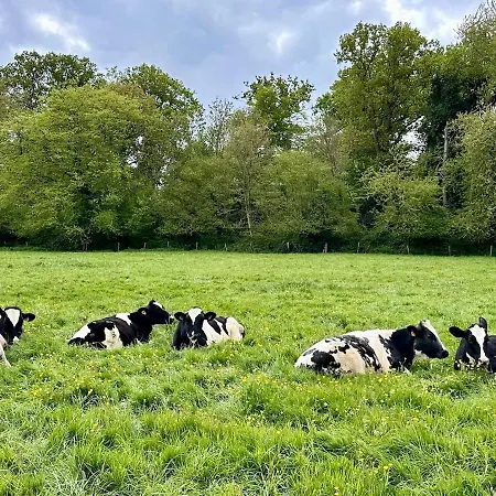 Charmante Datcha En Normandie * Les Damps