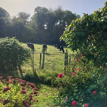 Feriehus Charmante Datcha En Normandie